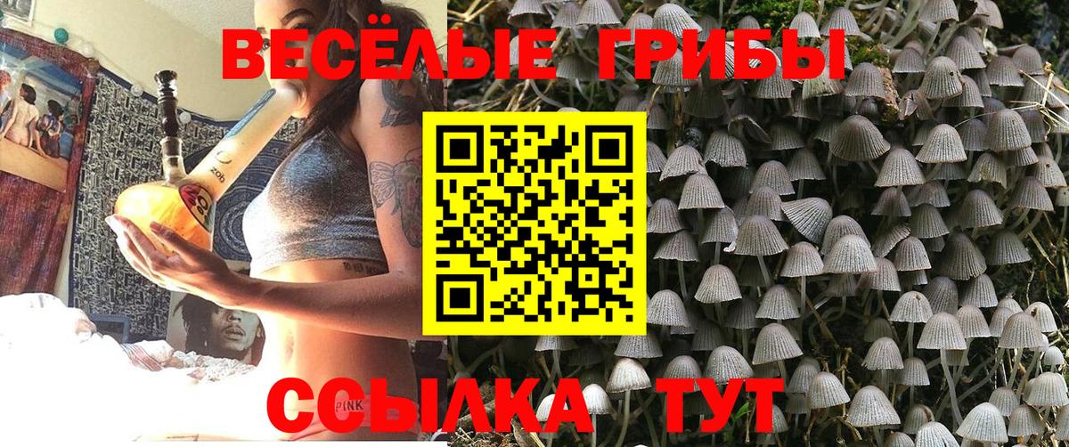 Галлюциногенные грибы MAGIC MUSHROOMS  Вход с VPN  Ефремов  Псилоцибиновые грибы Psilocybine cubensis 